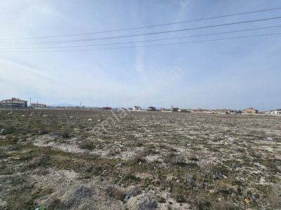 Arsa-Konut İmarlı