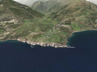 Arsa-Tarla