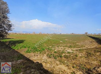 Arsa-Tarla