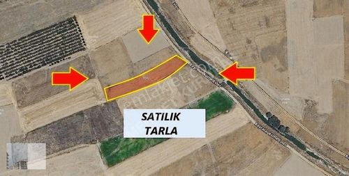 Arsa-Tarla