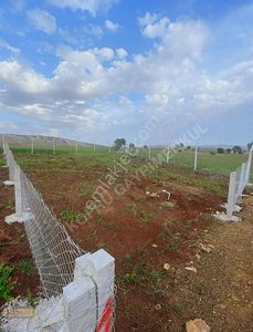Arsa-Bağ & Bahçe
