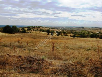 Arsa-Tarla