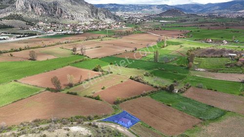 Arsa-Tarla
