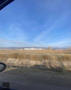 Arsa-Tarla
