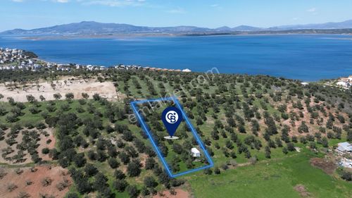 Arsa-Villa İmarlı