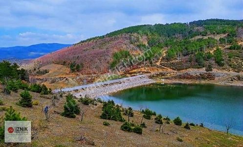 Arsa-Tarla