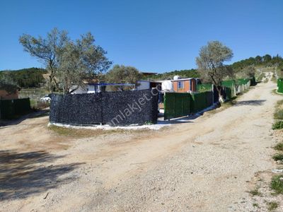 Arsa-Bağ & Bahçe