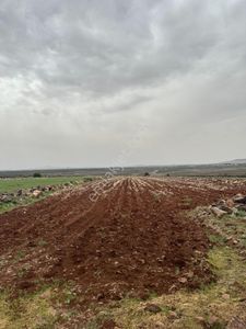 Arsa-Tarla