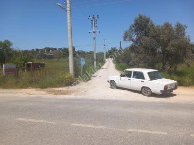 Arsa-Tarla
