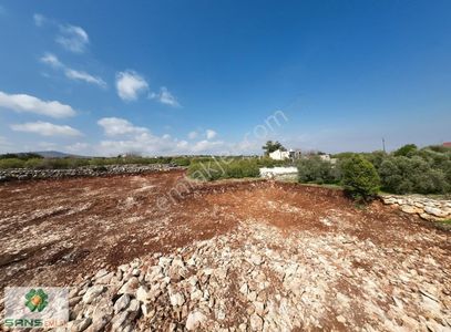 Arsa-Villa İmarlı