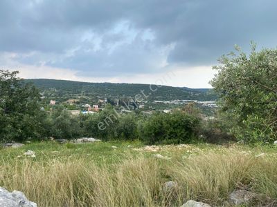 Arsa-Tarla