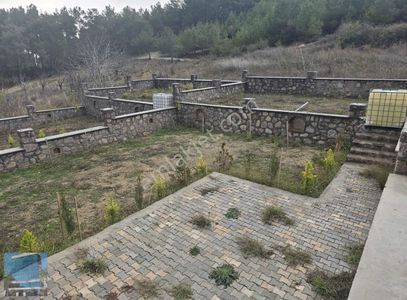 Arsa-Bağ & Bahçe
