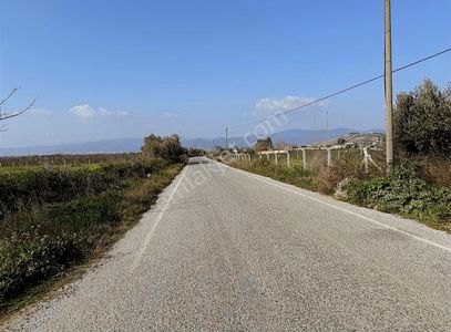 Arsa-Bağ & Bahçe