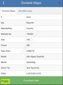 Arsa-Zeytinlik