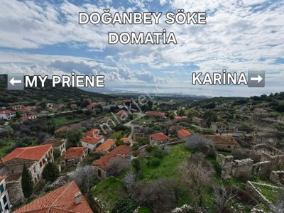 Arsa-Zeytinlik