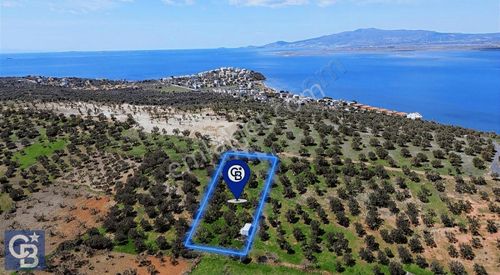 Arsa-Villa İmarlı