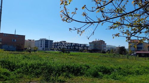 Arsa-Muhtelif Arsa