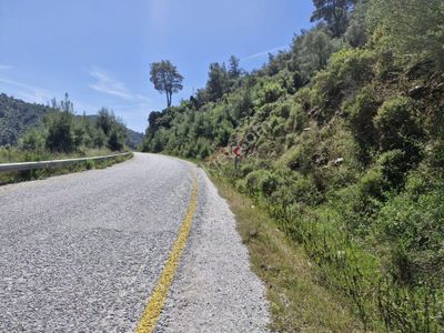 Arsa-Zeytinlik