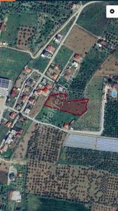 Arsa-Zeytinlik