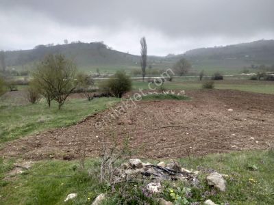 Arsa-Tarla