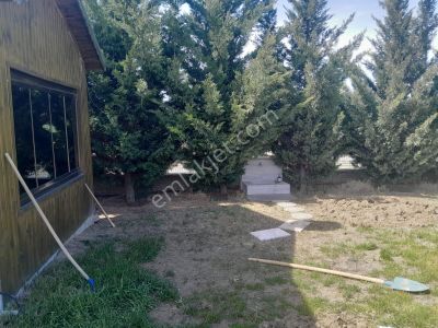 Arsa-Bağ & Bahçe