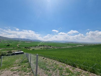 Arsa-Bağ & Bahçe