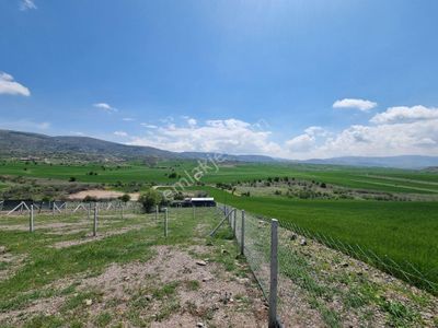 Arsa-Bağ & Bahçe