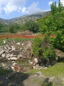 Arsa-Tarla