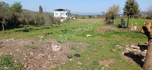 Arsa-Konut İmarlı