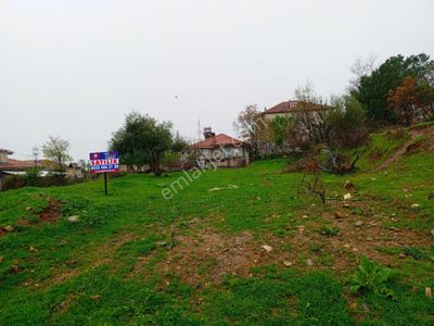 Arsa-Konut+Ticaret Alanı