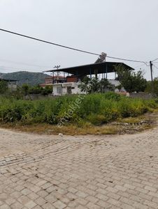 Arsa-Konut İmarlı
