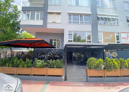 İşyeri-Dükkan & Mağaza
