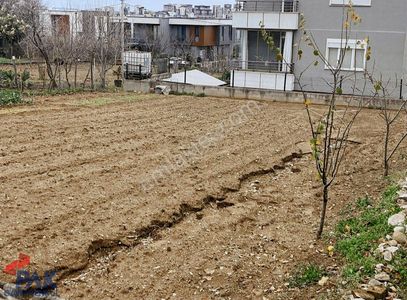 Arsa-Konut İmarlı