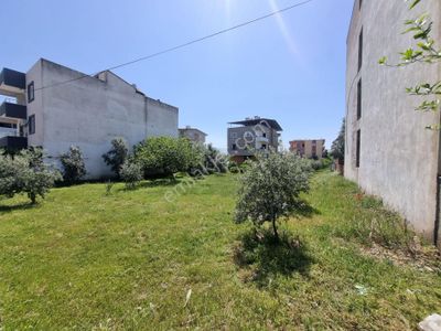 Arsa-Konut İmarlı