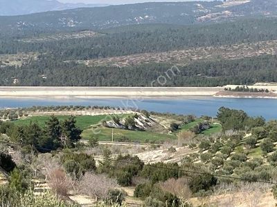 Arsa-Tarla