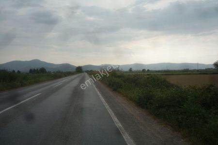 Arsa-Tarla