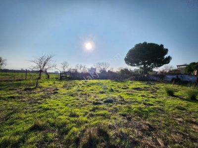 Arsa-Konut İmarlı