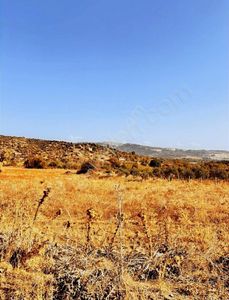 Arsa-Tarla