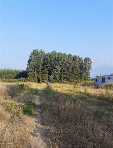 Arsa-Konut İmarlı
