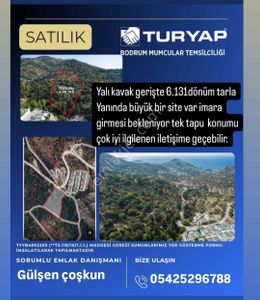 Arsa-Tarla