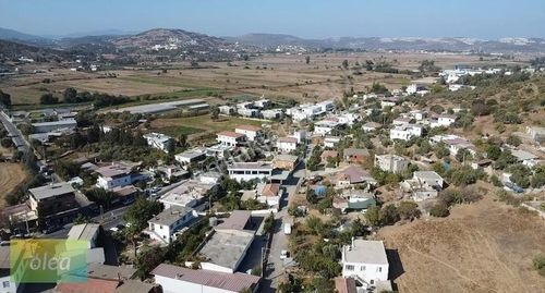 Arsa-Zeytinlik