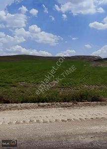 Arsa-Konut İmarlı