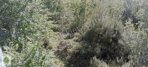 Arsa-Konut İmarlı