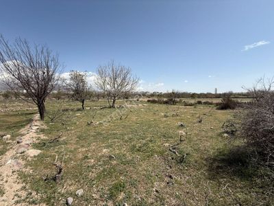 Arsa-Bağ & Bahçe