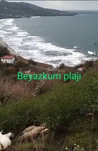Arsa-Bağ & Bahçe