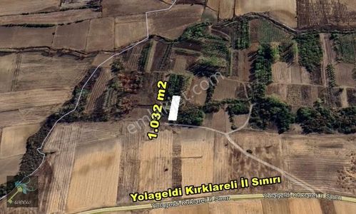 Arsa-Bağ & Bahçe