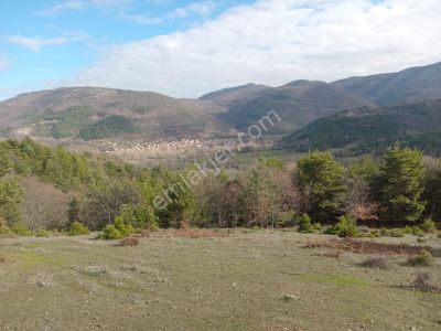Arsa-Tarla