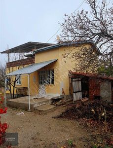 Arsa-Zeytinlik