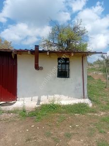 Arsa-Tarla