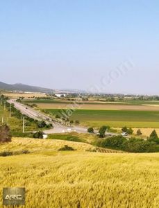 Arsa-Tarla